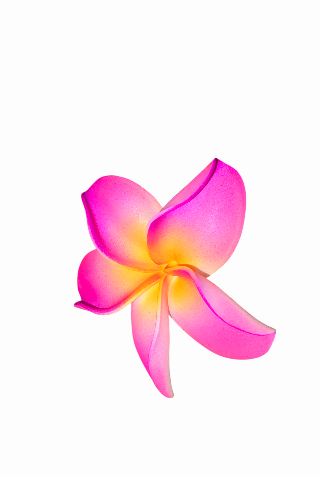 Tropical Bliss "Pua" Sei