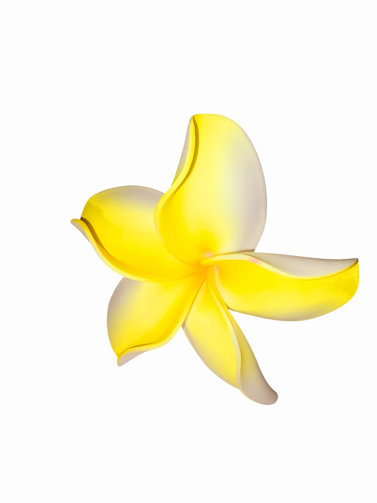 Tropical Bliss "Pua" Sei