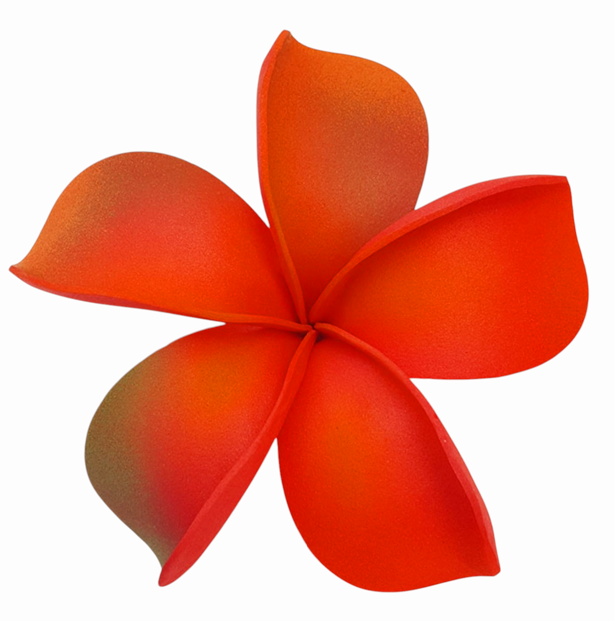 Plumeria "Pua" Frangipani Sei
